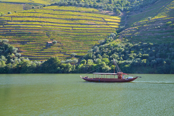 Douro River - svptours
