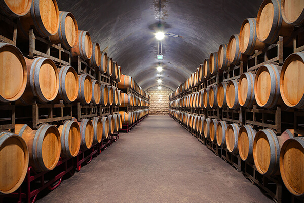 Port Wine Cellar - svptours